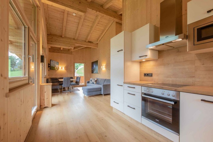 Living and dining area with modern kitchen in vacation apartment with wood paneling on walls and ceilings